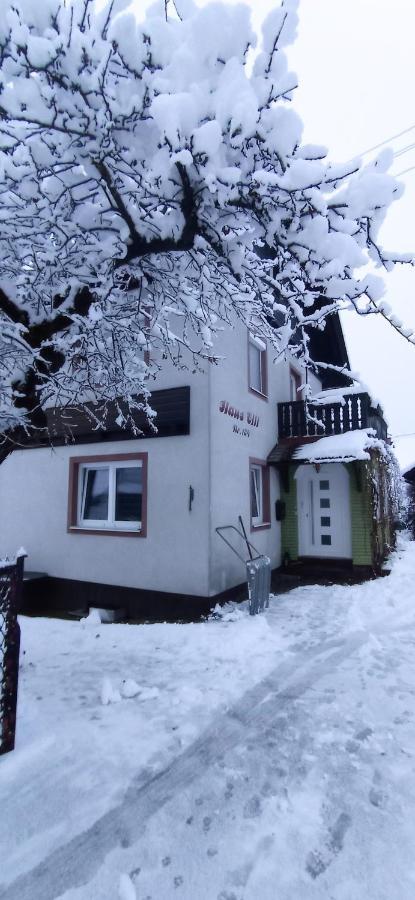 Apartamento Haus Elli Greifenburg Exterior foto